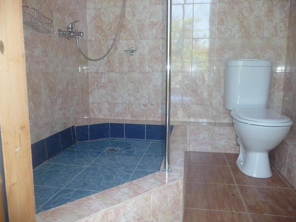 Фото Гостевого дома Гостевой дом Мария Цандрыпш 52